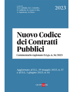 Nuovo Codice dei Contratti pubblici