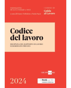 Codice del lavoro 2024