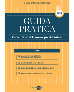 Guida Pratica Contenzioso del lavoro e previdenziale 2023