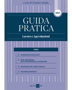 Guida Pratica Lavoro e Agevolazioni 2024