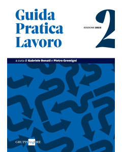 Guida Pratica Lavoro 2/2023