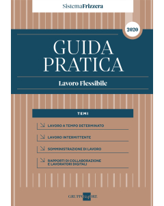 Guida Pratica Lavoro Flessibile - Sistema Frizzera