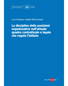 La disciplina delle posizioni organizzative nell'attuale quadro contrattuale e legale che regola l'istituto DIGITALE - FORMATO PDF