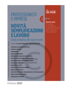 Professionisti e imprese. NOVITA' SEMPLIFICAZIONI E LAVORO