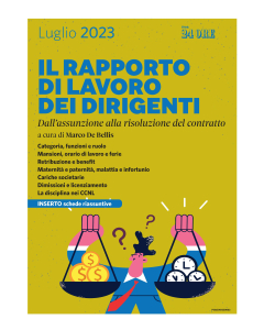 Il rapporto di lavoro dei dirigenti