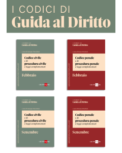 I Codici di Guida al Diritto